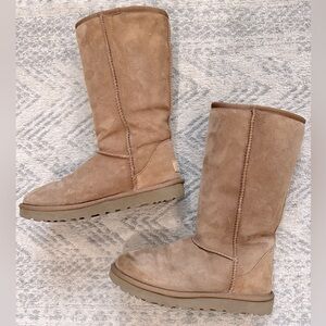 Classic Tall Ugg Boot in Chestnut